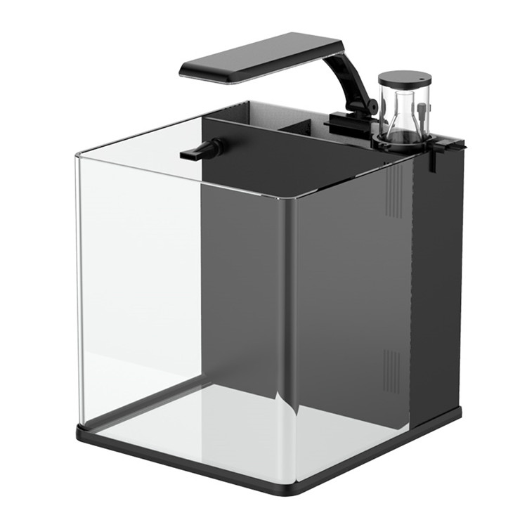 Aquarium Marine Clearwater - Ultimo modello di mini acquario marino