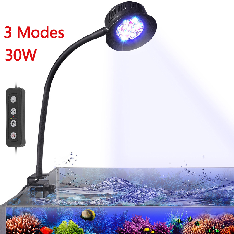 Marine Aquarium Tanks - Acquario LED Reef Luce Acqua di