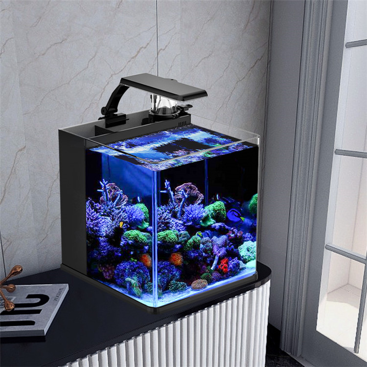 Aquarium Marine Clearwater - Mini acqua salata in vetro ultra