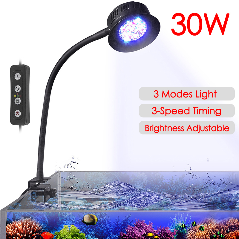 Marine Aquarium Tanks - 30W Acquario Acquario Acquario Acqua di