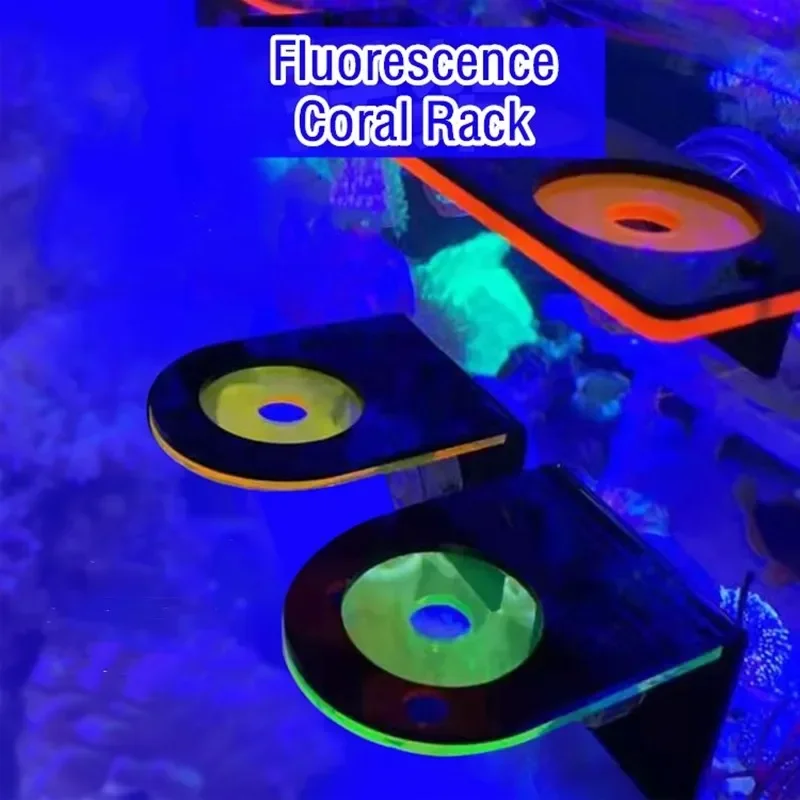 Marine Aquarium Tanks - Staffe per corallo fluorescente acrilico per