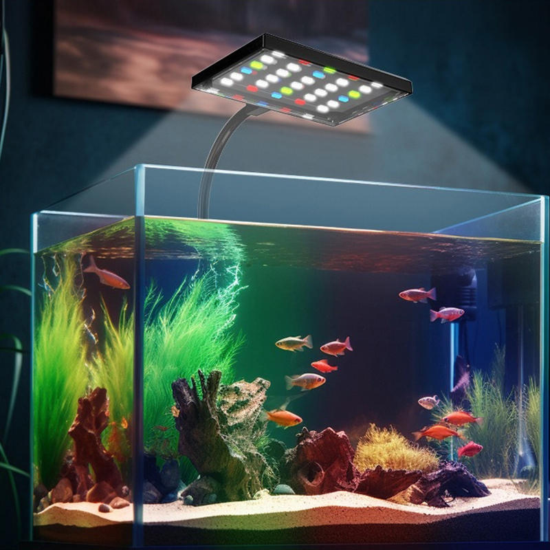 Lampada LED USB per Acquario a - Marine Aquarium Led recensione e prezzo