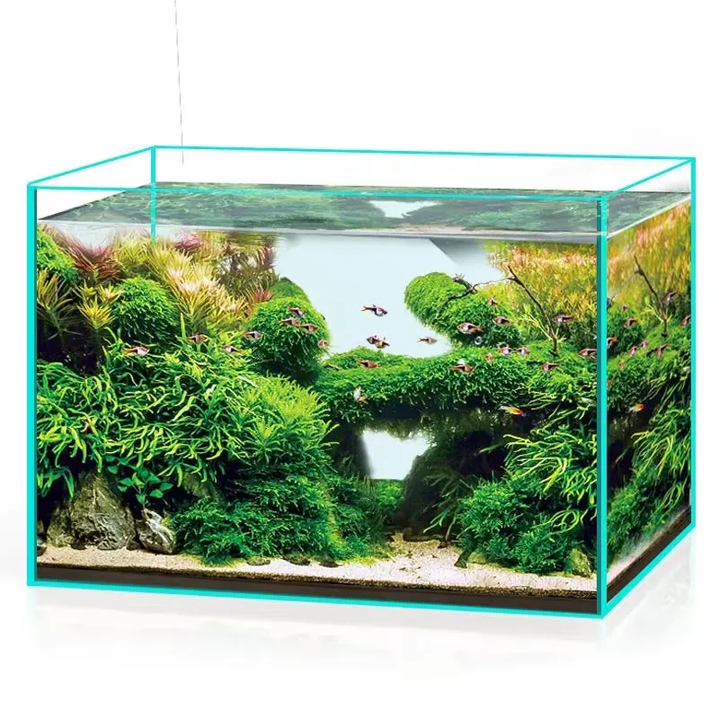 Acquario in Vetro Ultra Traspa - Aquarium Marine Clearwater recensione e prezzo