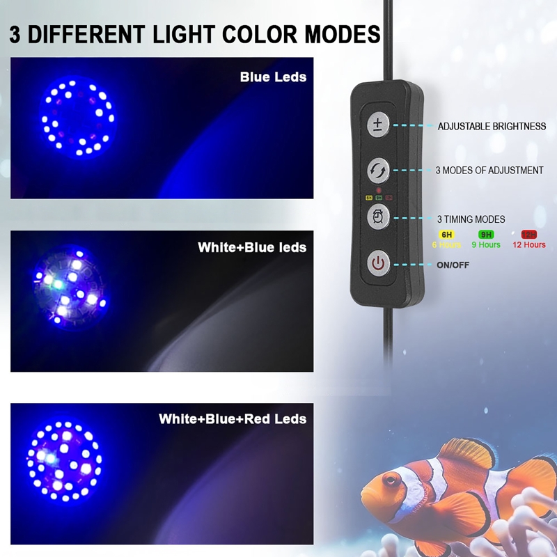 Acquario LED Reef Luce Acqua d - Marine Aquarium Tanks recensione e prezzo