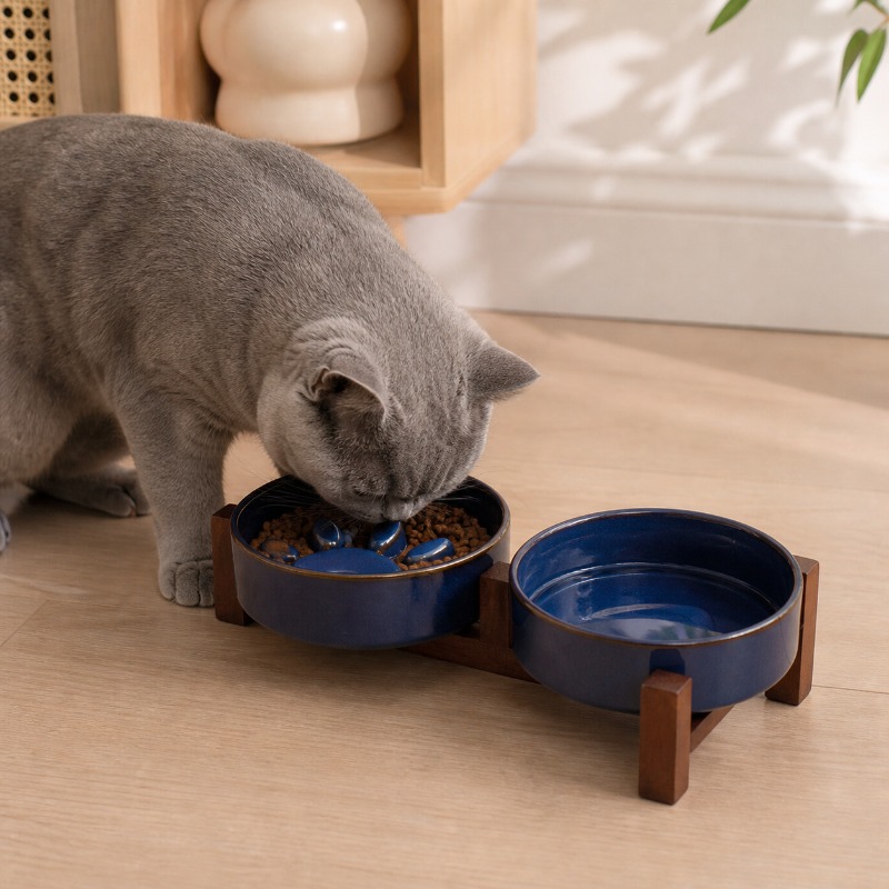 Forno in stile giapponese ciot - Royal Canin Food Medium recensione e prezzo