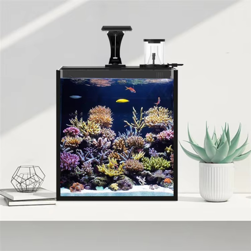 Mini acquario marino in vetro  - Aquarium Marine Clearwater recensione e prezzo