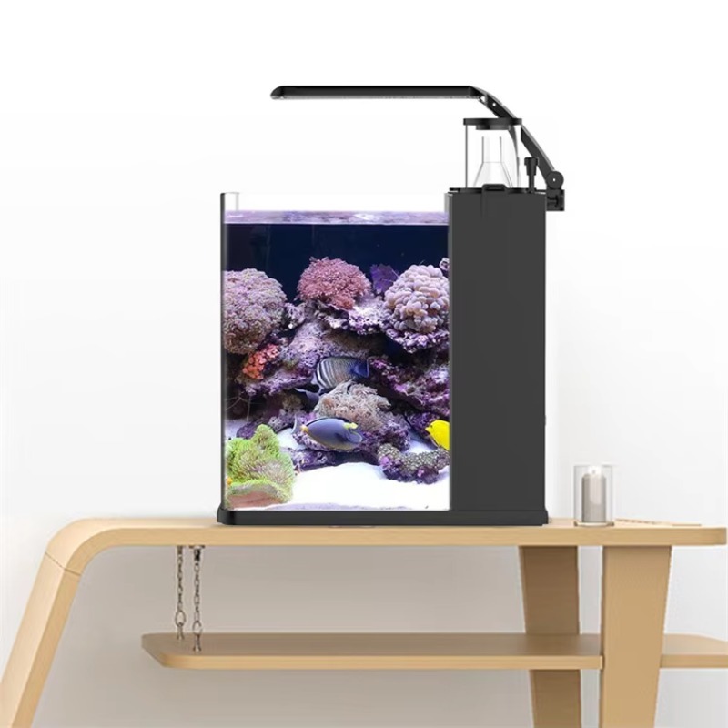 Mini acquario marino in vetro  - Aquarium Marine Clearwater recensione e prezzo