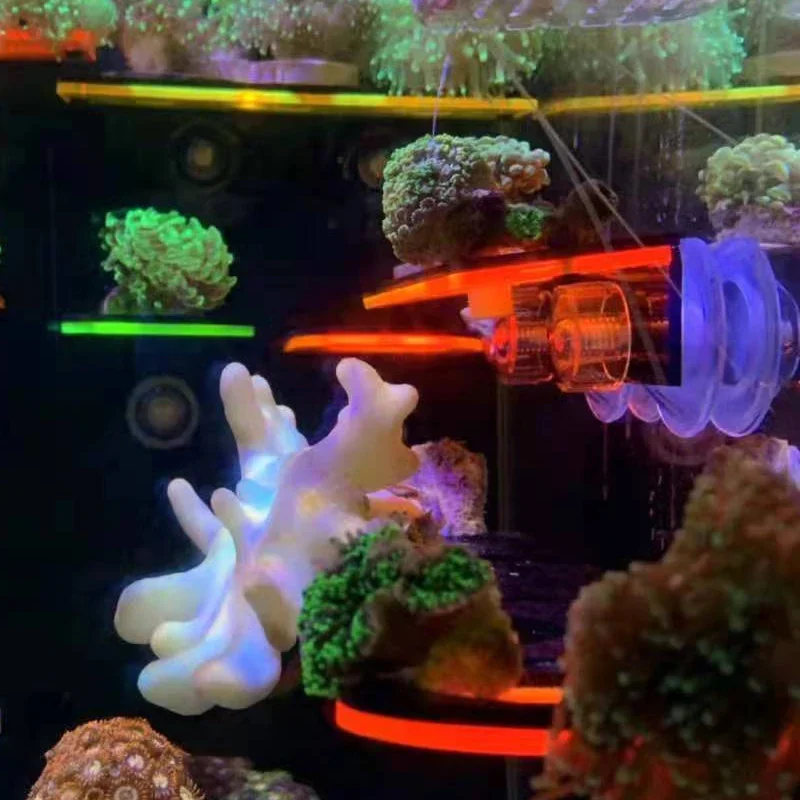 Staffe per corallo fluorescent - Marine Aquarium Tanks recensione e prezzo