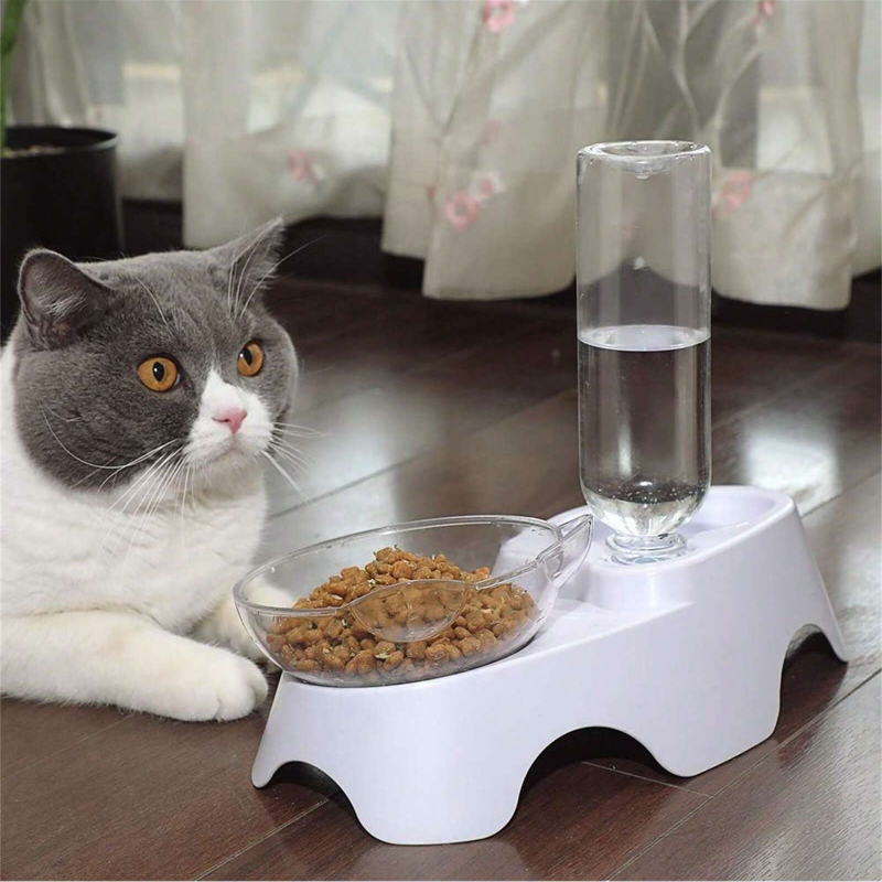 Set di 2 Ciotole per Cani e Ga - Royal Canin Food Medium recensione e prezzo