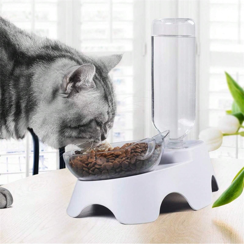 Set di 2 Ciotole per Cani e Ga - Royal Canin Food Medium recensione e prezzo