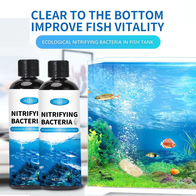 Purificatore d'Acqua per Acqua - Aquarium Marine Clearwater recensione e prezzo