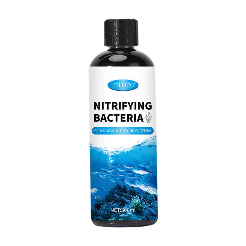 Purificatore d'Acqua per Acqua - Aquarium Marine Clearwater recensione e prezzo