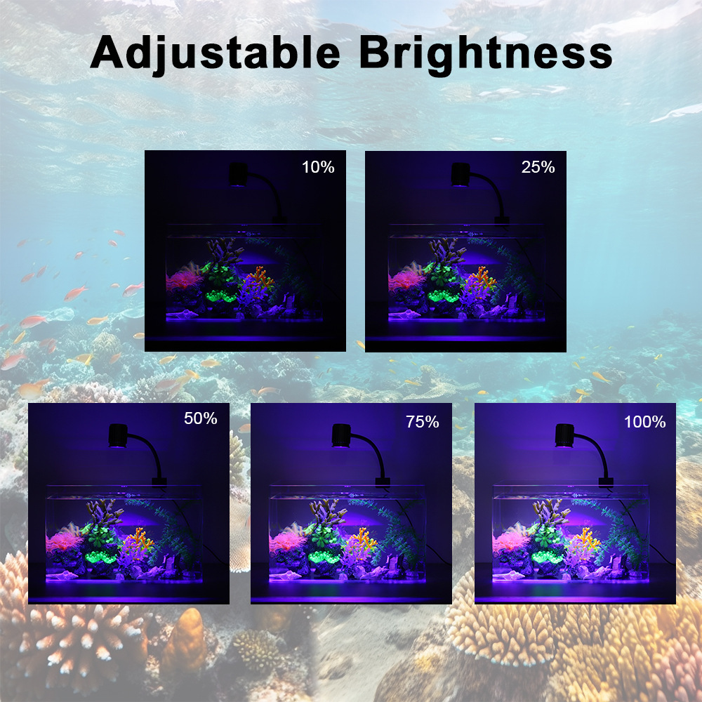 Lampada LED per Acquario a Spe - Marine Aquarium Led recensione e prezzo