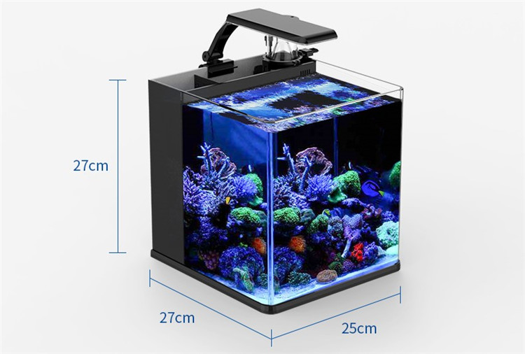 Mini Acquario Marino in Vetro  - Aquarium Marine Clearwater recensione e prezzo