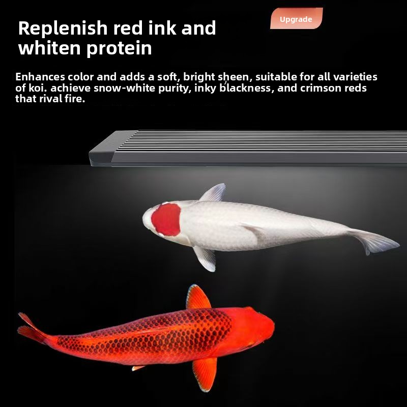 Lampada LED per Acquario con S - Aquarium Marine Clearwater recensione e prezzo