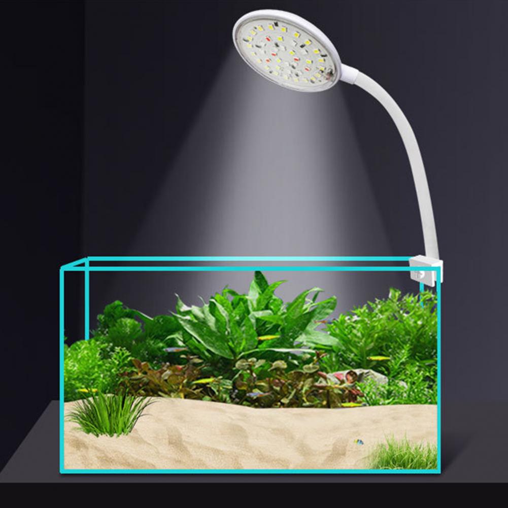 Lampada a clip per acquario da - Marine Aquarium Led recensione e prezzo